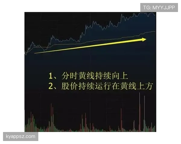 多萨里进攻影响力持续提升的关键驱动因素解析