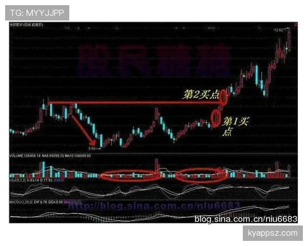 加纳能否重现2010辉煌 2026世界杯黑马潜力深度解析